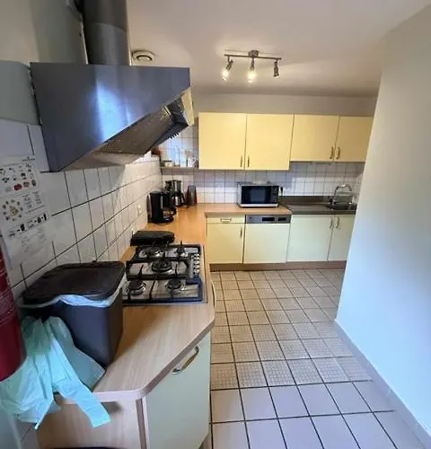 Prázdninový dům Les Epinettes 25 Pers Senones (Vosges)